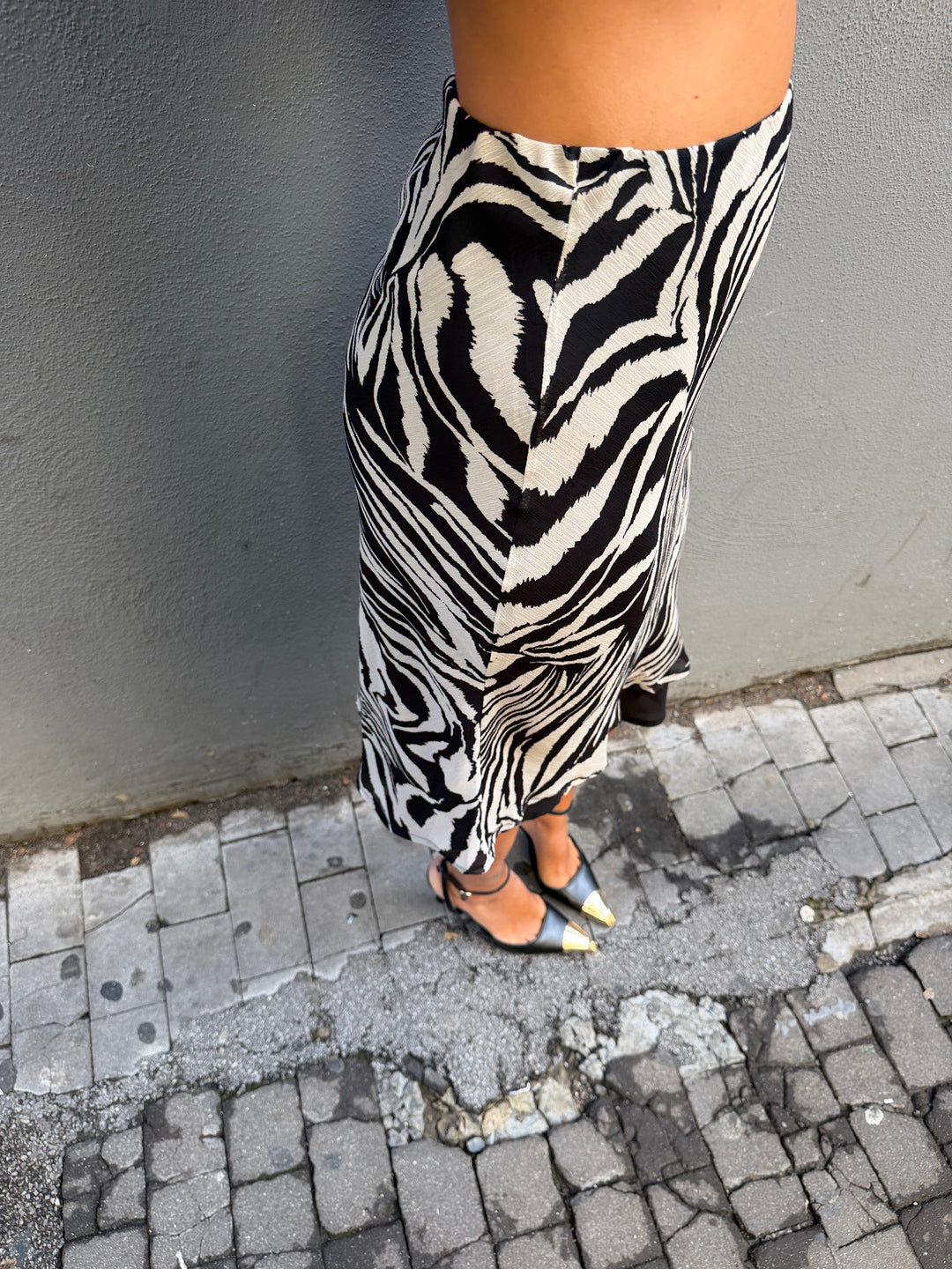 Gonna Zebra LUMINA