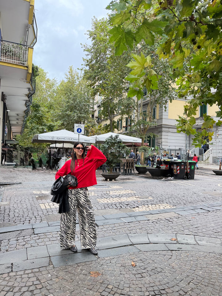 Pantalone Zebra Code