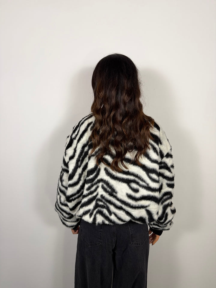 Bomber Zebra LUMINA